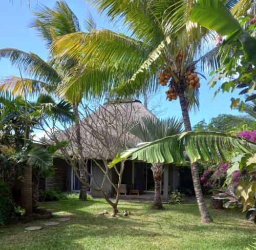 Brahmanhut - Eco Hut Experience In Harmony With Nature, Wellbeing And Spirit Bain Boeuf Ngoại thất bức ảnh